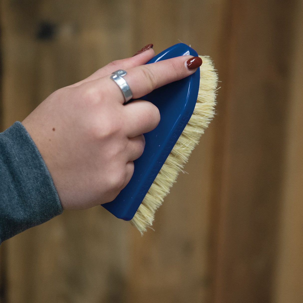 Plastic Tampico Pig Brush with Handle