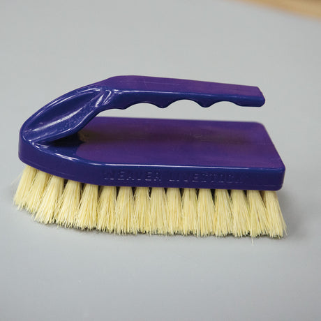 Plastic Tampico Pig Brush with Handle