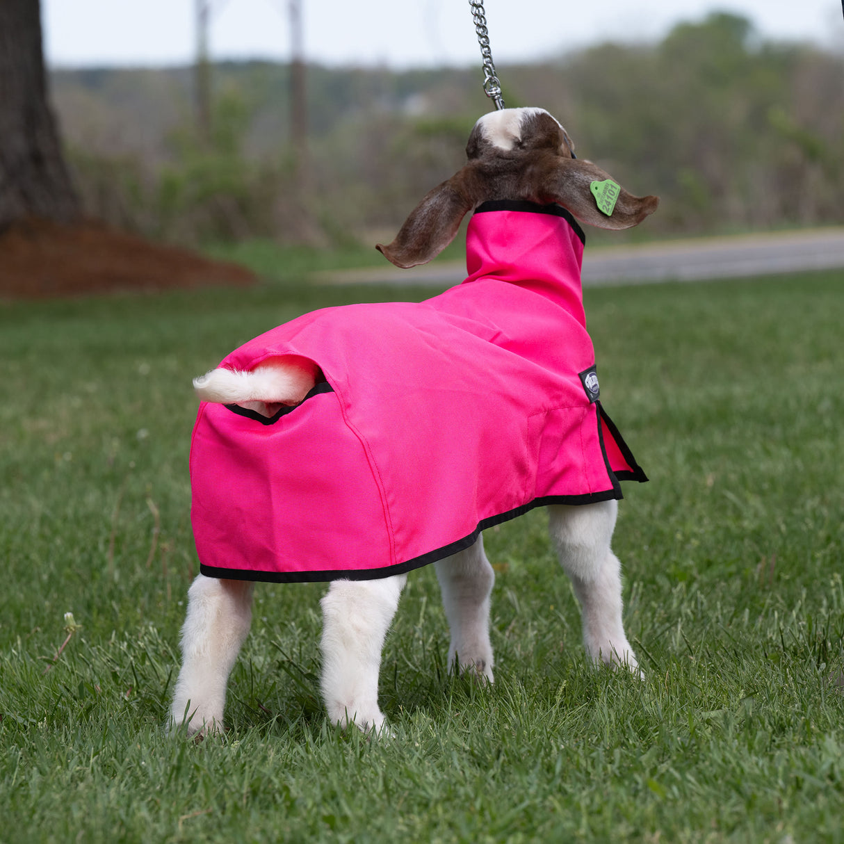 Nylon Goat Blanket