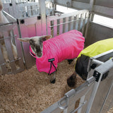 ProCool™ Sheep Blanket with Reflective Piping, Mesh Butt