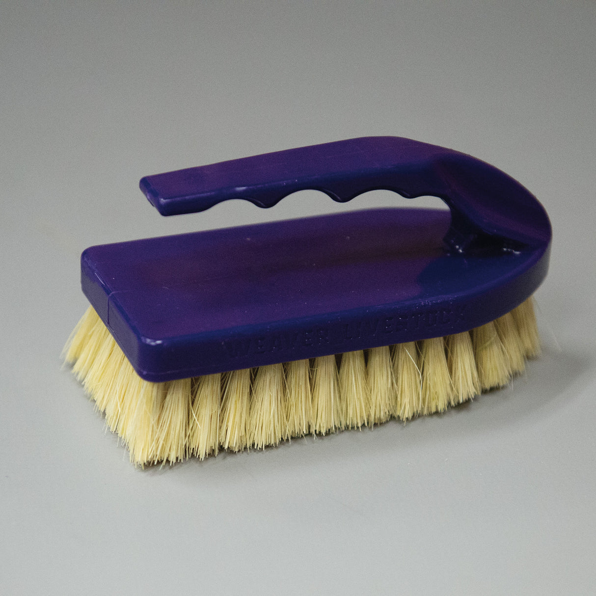 Plastic Tampico Pig Brush with Handle