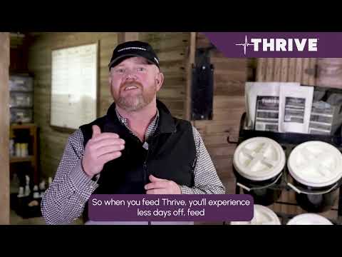 Thrive