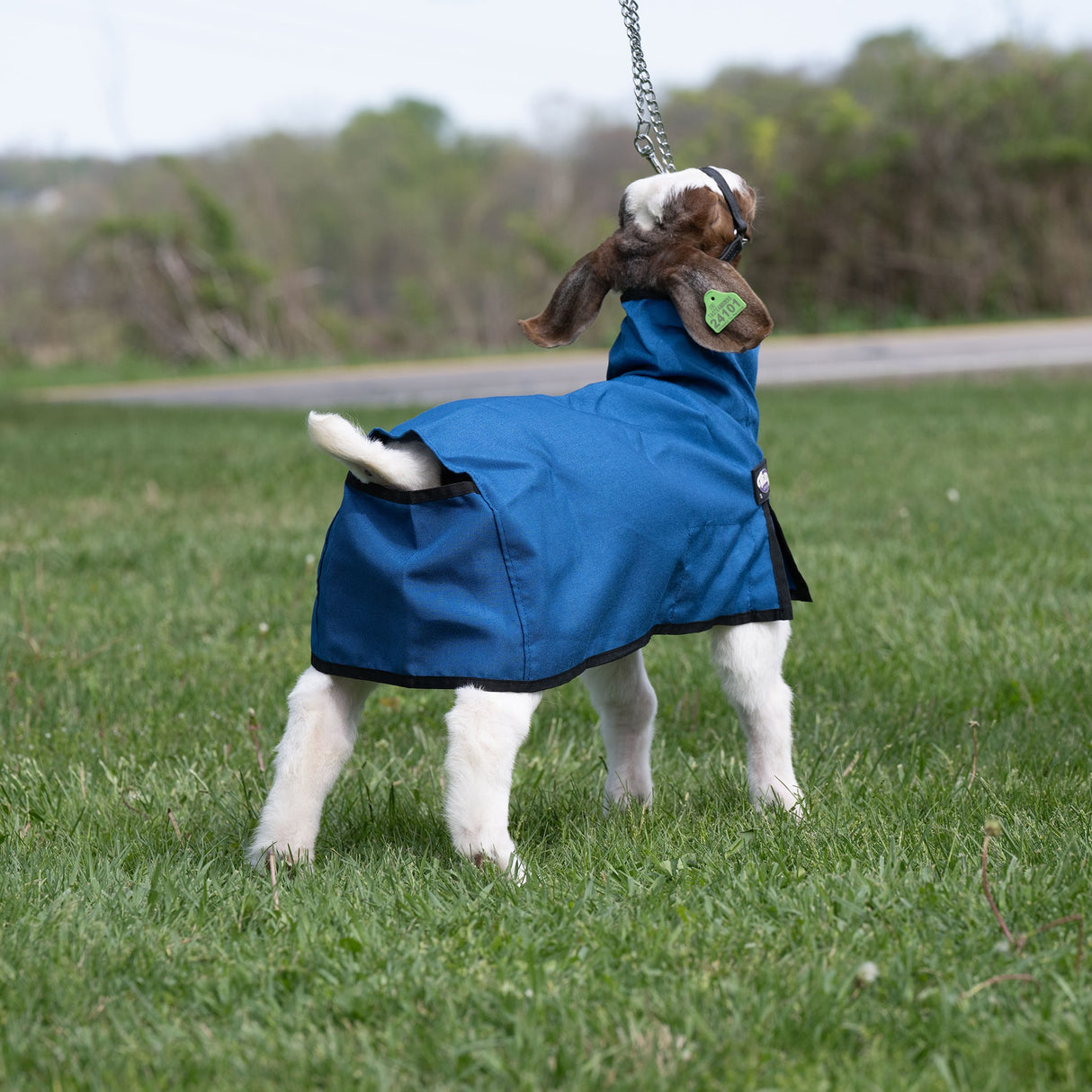 Nylon Goat Blanket