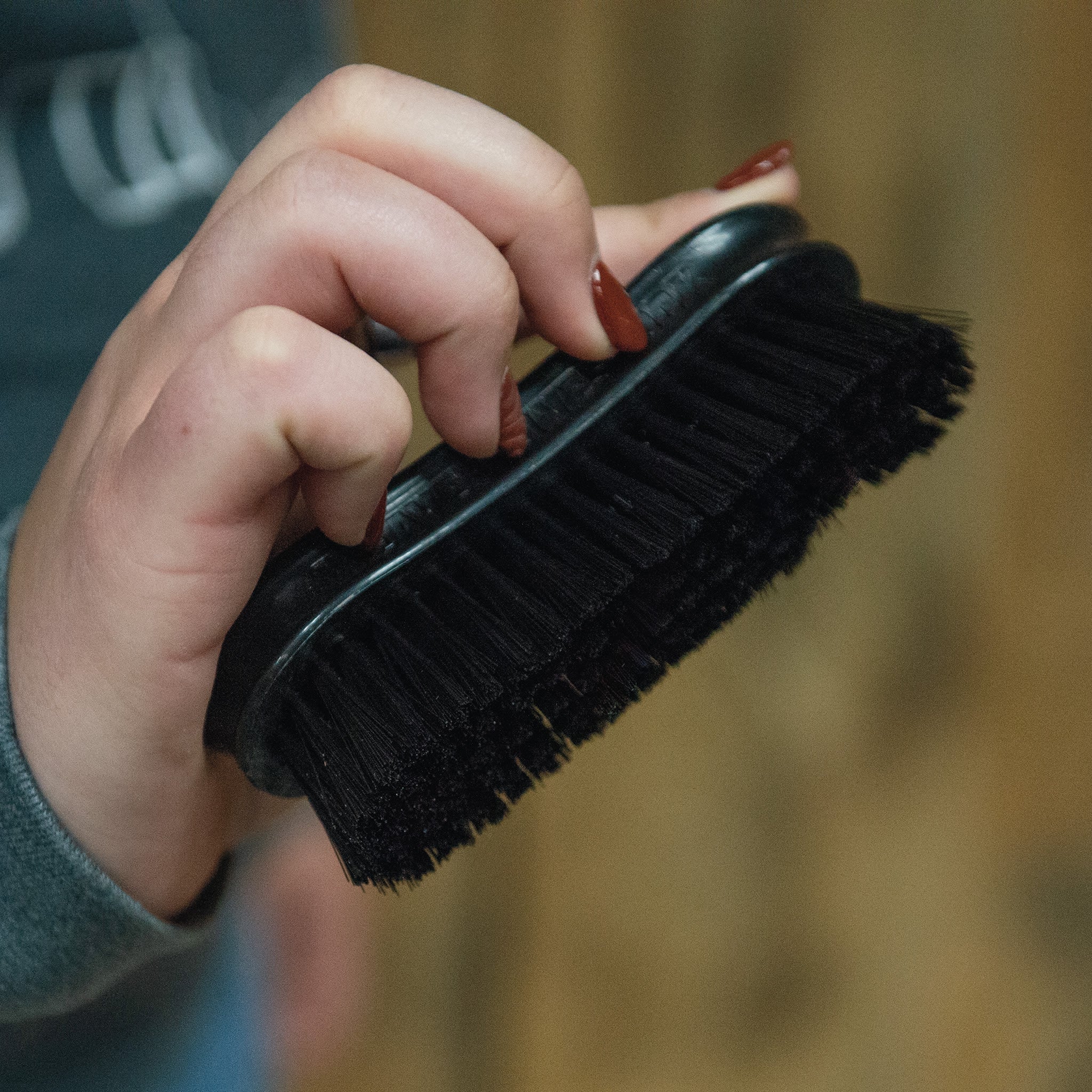 Pig Face Brush, Plastic Handle - Weaver Livestock