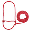 Rope Halter, Calf