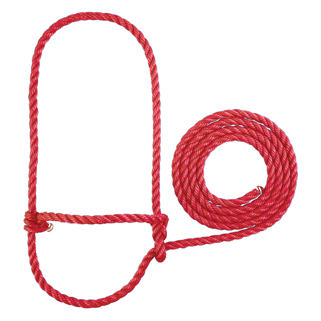 Rope Halter, Calf