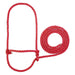 Rope Halter, Calf
