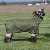 Nylon Sheep Blanket, Mesh Butt