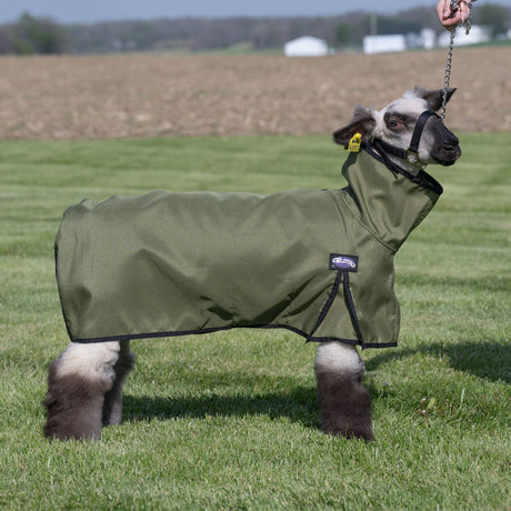 Nylon Sheep Blanket, Mesh Butt