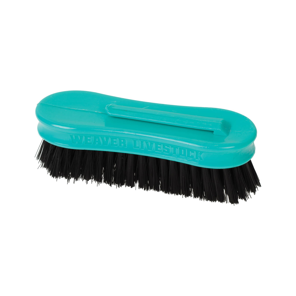 Pig Face Brush, Plastic Handle