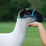 Poly Rope Halter