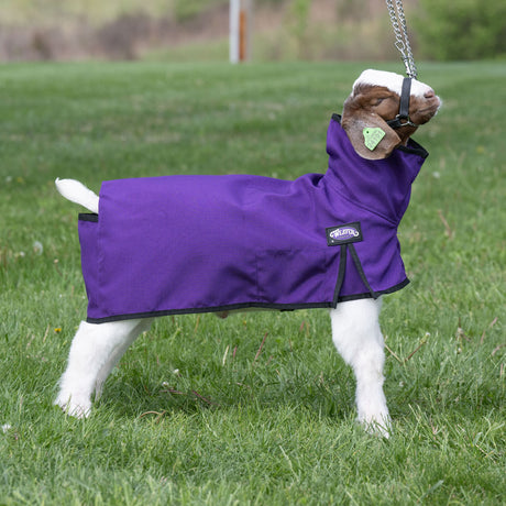 Nylon Goat Blanket