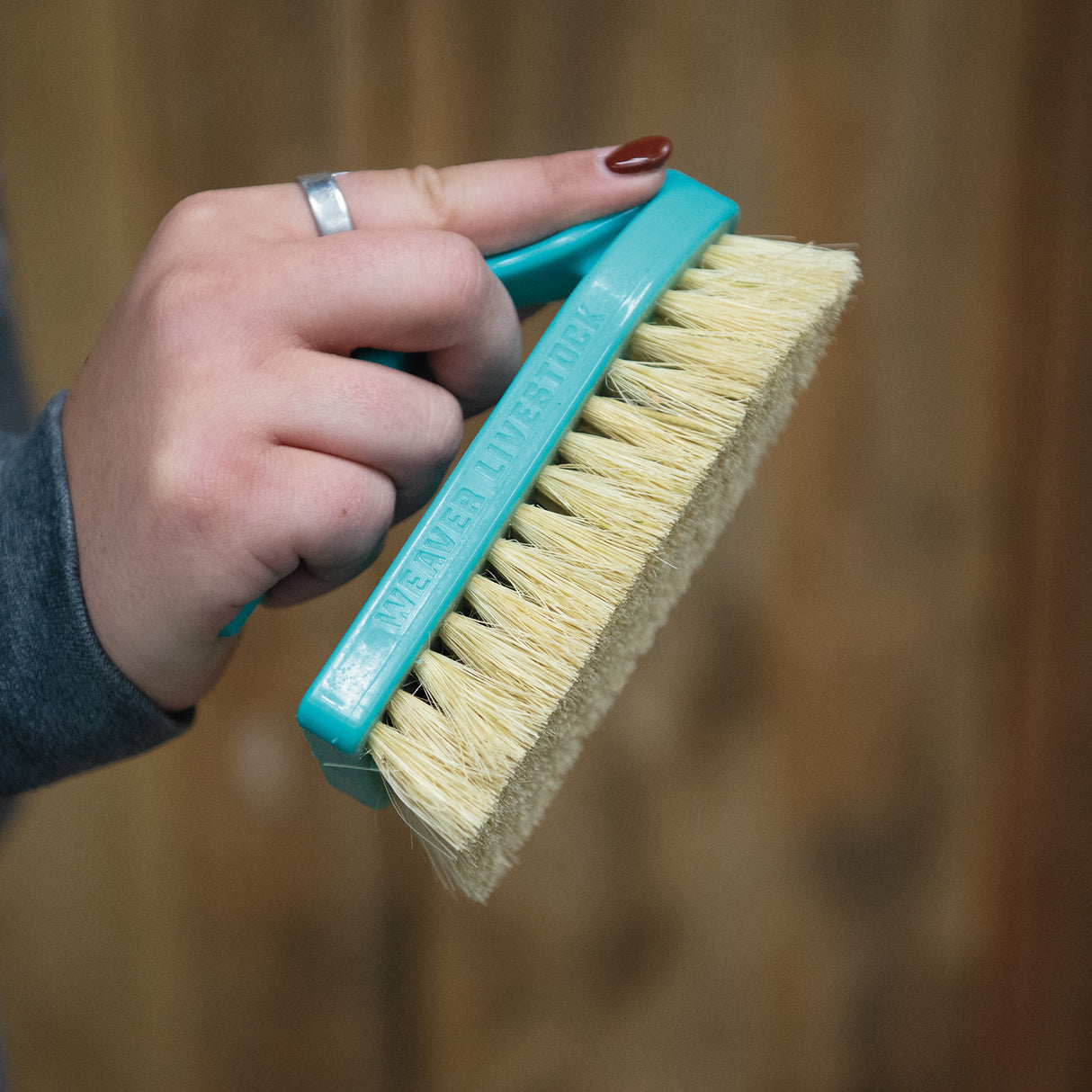 Plastic Tampico Pig Brush with Handle