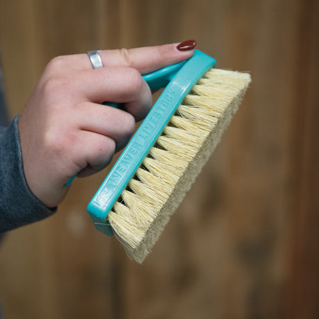 Plastic Tampico Pig Brush with Handle