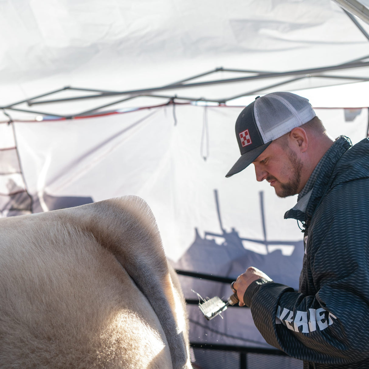 Teflon Comb, Fluffer