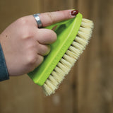 Plastic Tampico Pig Brush with Handle