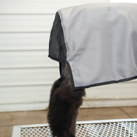 Nylon Sheep Blanket, Mesh Butt
