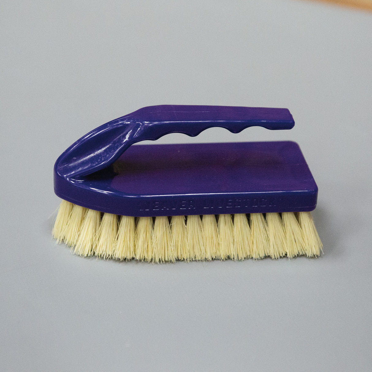 Plastic Tampico Pig Brush with Handle