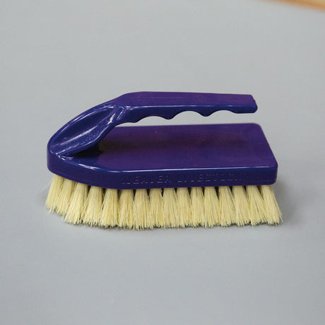 Plastic Tampico Pig Brush with Handle