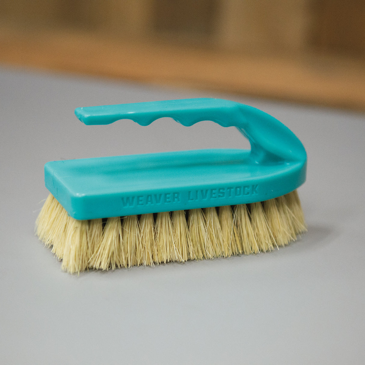 Plastic Tampico Pig Brush with Handle