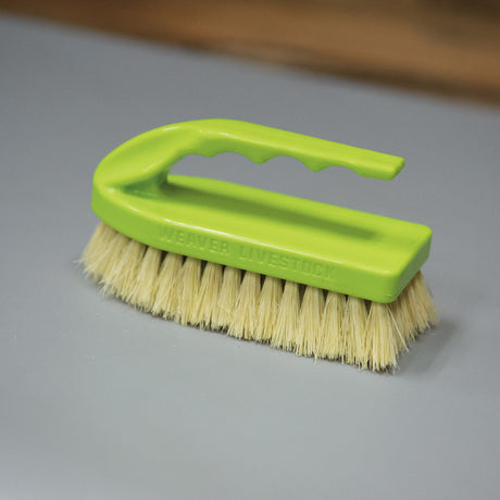 Plastic Tampico Pig Brush with Handle