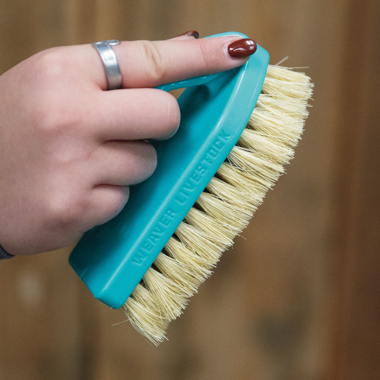 Plastic Tampico Pig Brush with Handle