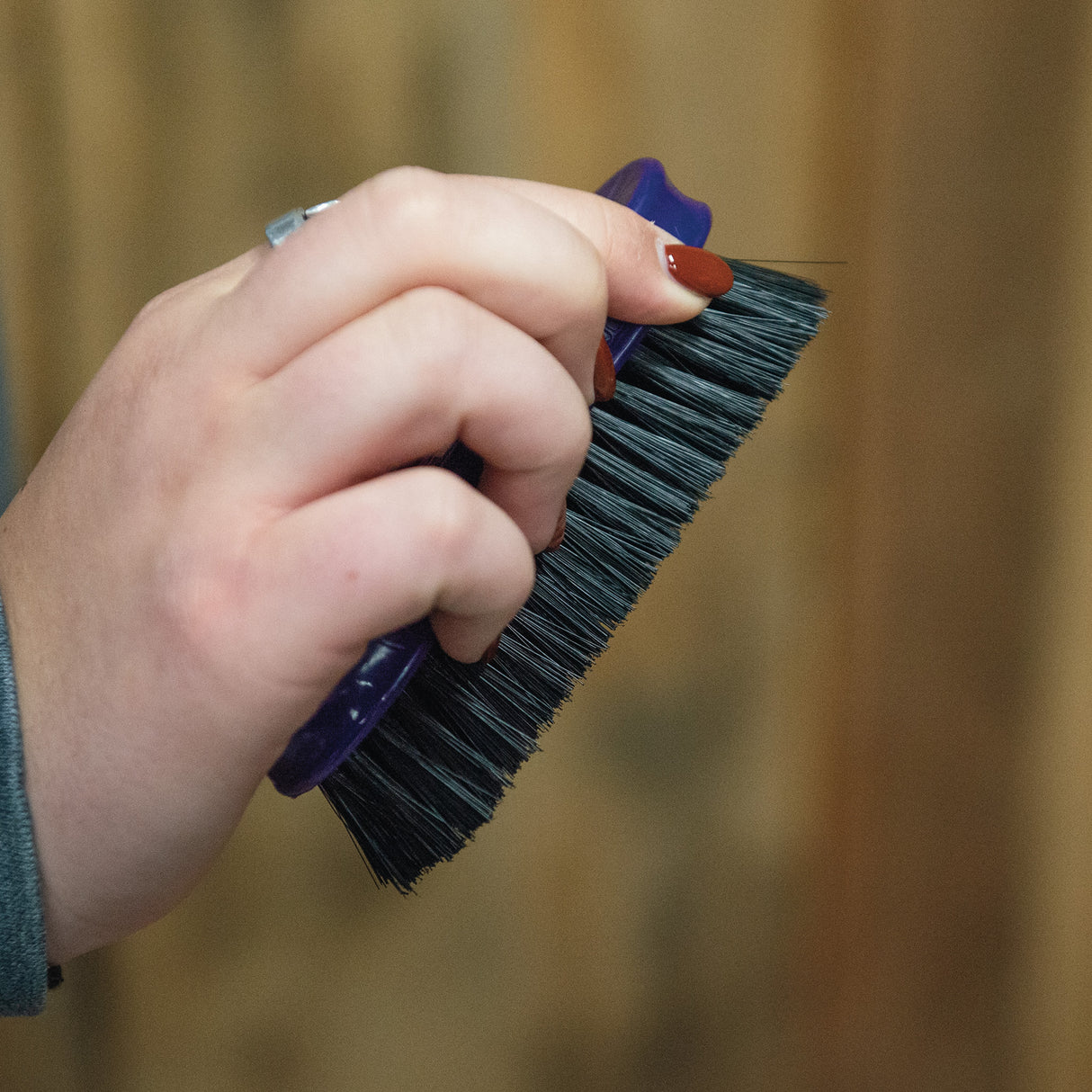 Pig Face Brush, Plastic Handle
