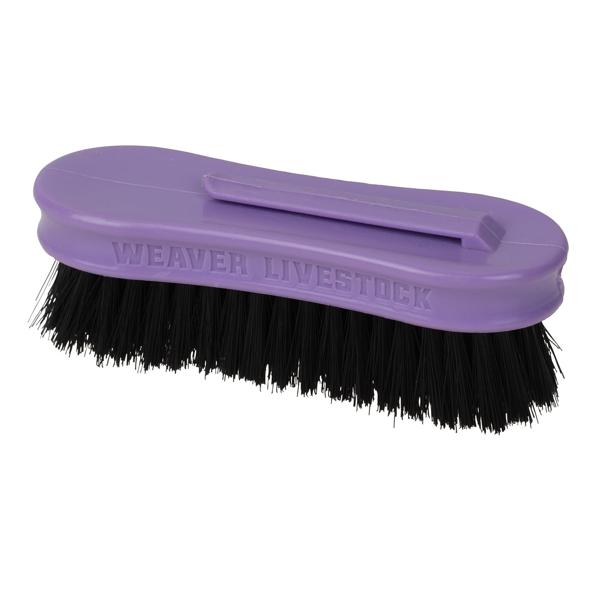 Pig Face Brush, Plastic Handle