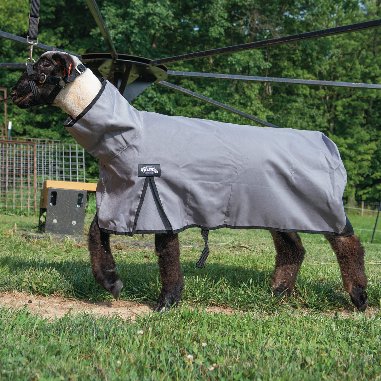 Nylon Sheep Blanket, Mesh Butt