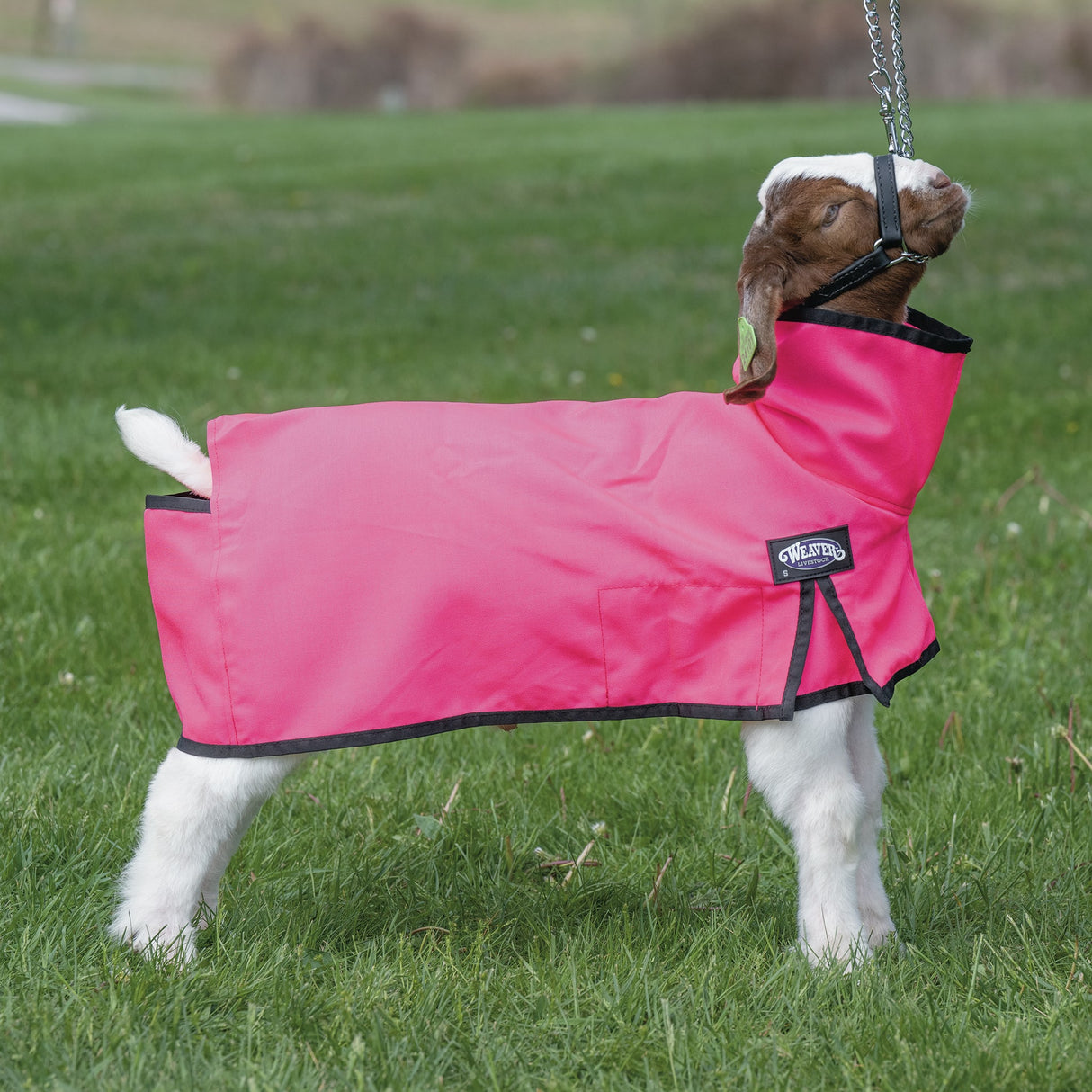 Nylon Goat Blanket