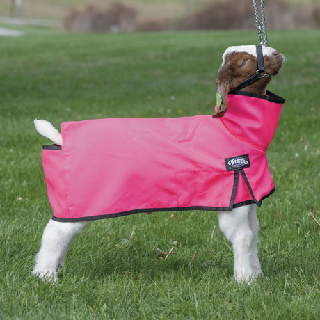 Nylon Goat Blanket