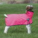 Nylon Goat Blanket