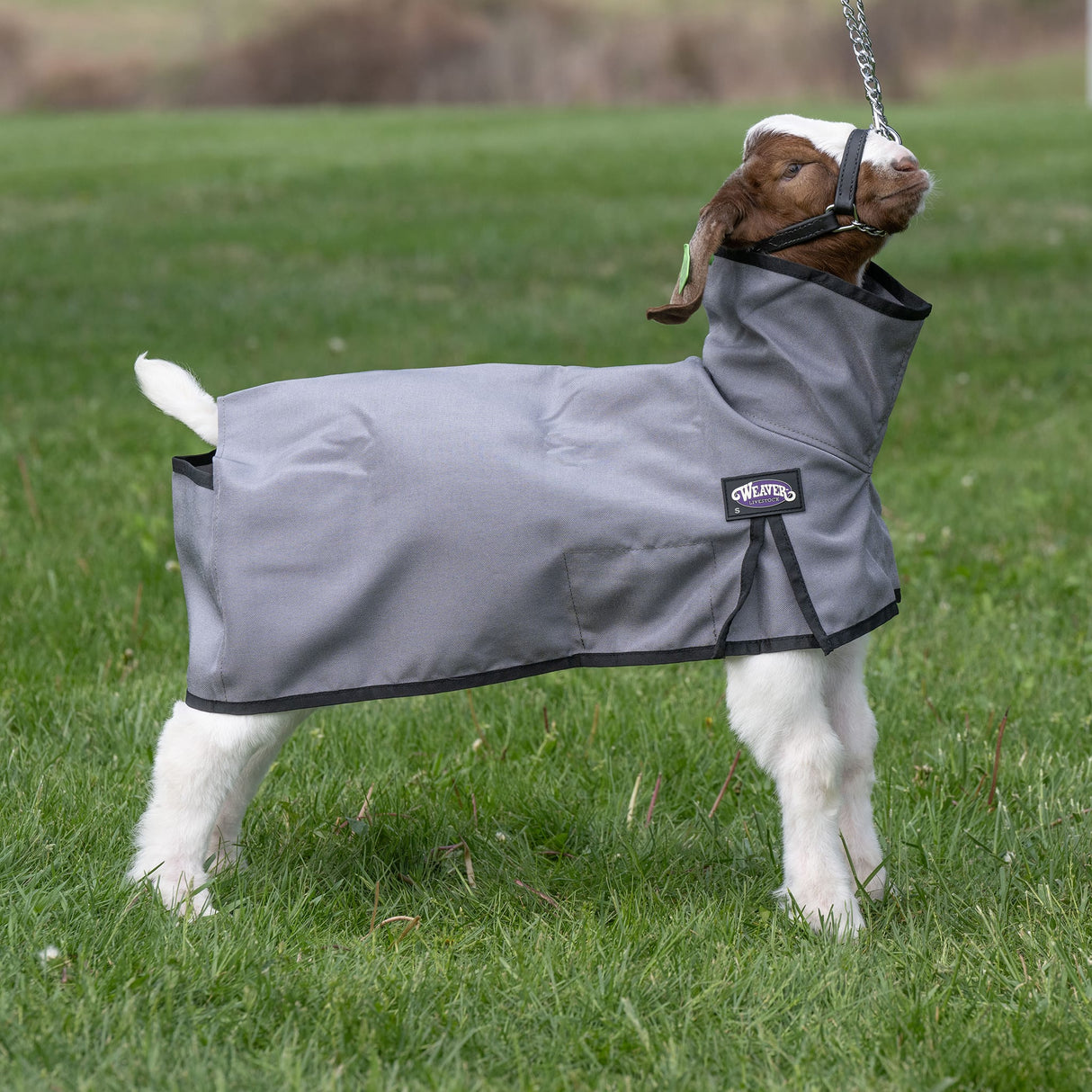 Nylon Goat Blanket