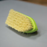 Plastic Tampico Pig Brush with Handle