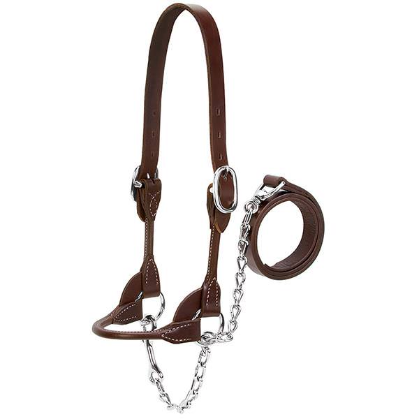 Dairy/Beef Rounded Show Halter, Large, Brown
