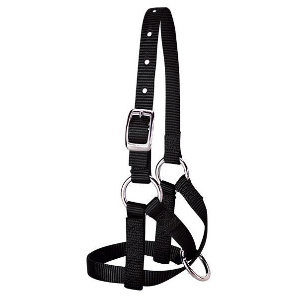 Alpaca Halter, 5/8" Large