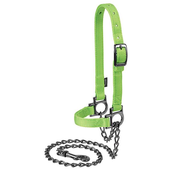 Nylon Adjustable Sheep Halter with Chain Lead, Lime