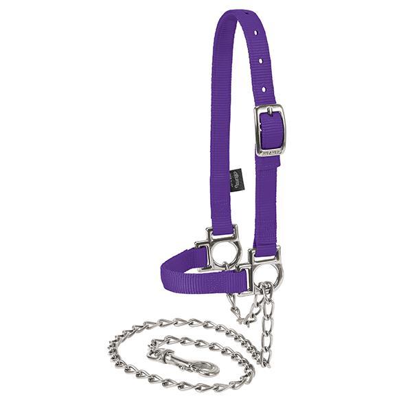 Nylon Adjustable Sheep Halter with Chain Lead, Purple