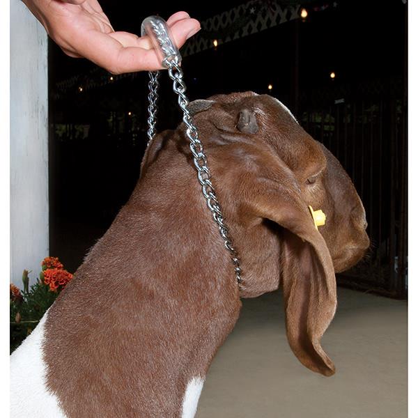 Chain Goat Collar with Rubber Grip, 24"