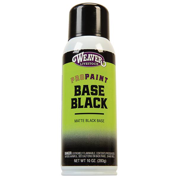 ProPaint Base Black
