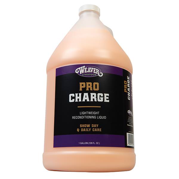 ProCharge Reconditioning Liquid, Gallon