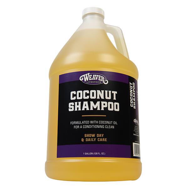 Coconut Shampoo, Gallon