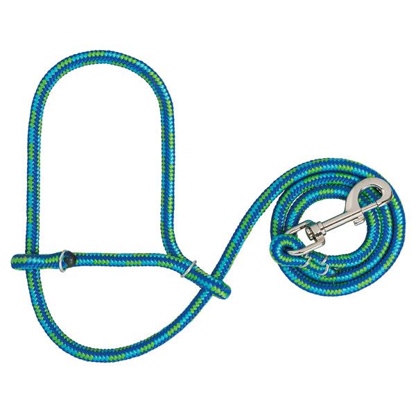 Poly Rope Sheep Halter with Snap, Lime/Hurricane Blue/ Royal Blue