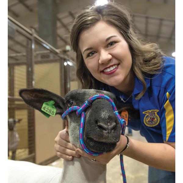 Poly Rope Sheep Halter with Snap - Weaver Livestock