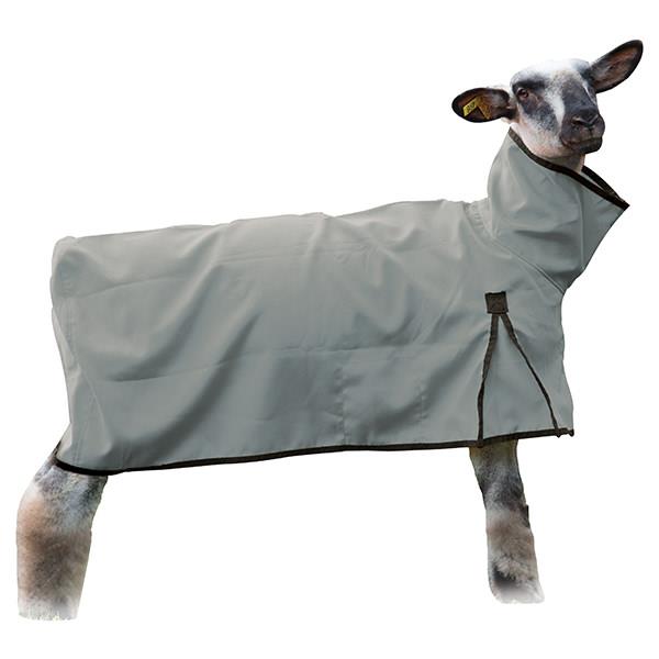 Nylon Sheep Blanket, Solid Butt, Large, Gray