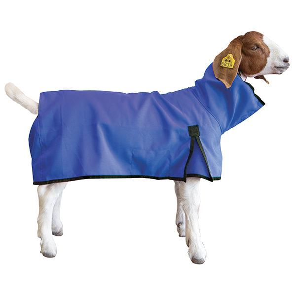 Goat Blanket, Large, Blue