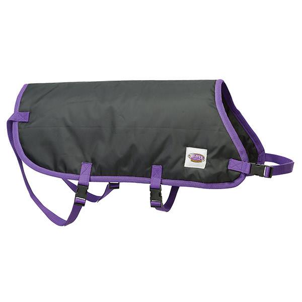 Pro Calf Blanket, Black, Small