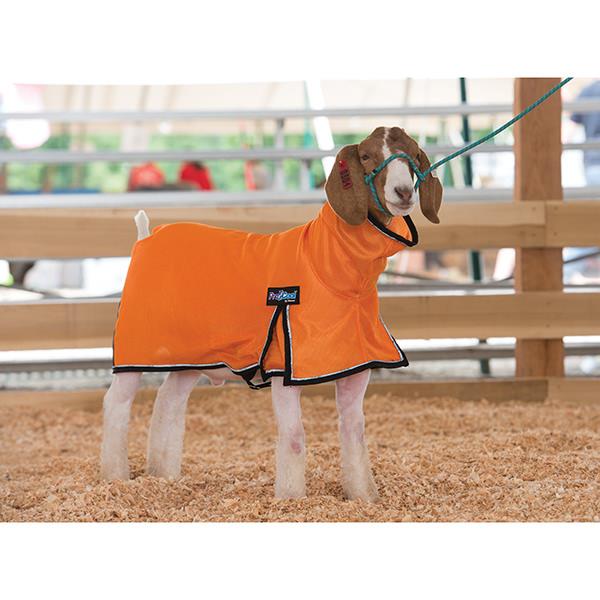 ProCool™ Mesh Goat Blanket with Reflective Piping, Extra Small, Orange