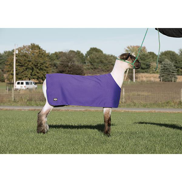 Sheep and Goat Underblanket, Medium, Purple