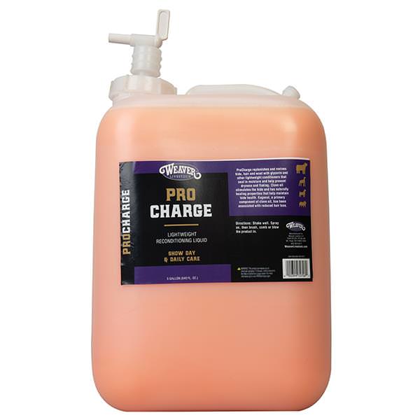 ProCharge Reconditioning Liquid, 5 Gallon